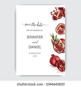 Vector iilustration Banner for Eco store. Colorful pomegranate card. 