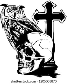 vector illestation drawing of Owl holding skull