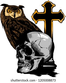 vector illestation drawing of Owl holding skull