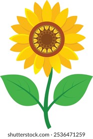 vector Illestration of sunflower with green leaf 
