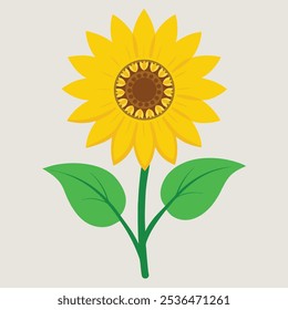 vector Illestration of sunflower with green leaf 