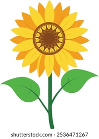 vector Illestration of sunflower with green leaf 