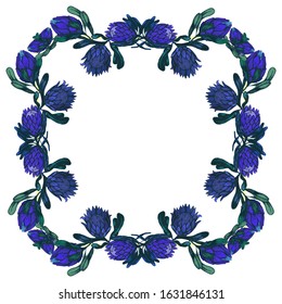 Vector illistration with vintage botanic frame blue protea flowers. Romantic frame for spring and summer design, wedding invitation and greeting cards decorations background 