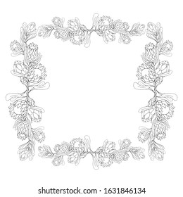 Vector illistration with vintage botanic frame black and white protea flowers. Romantic frame for spring and summer design, wedding invitation and greeting cards decorations background 
