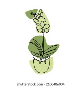 Vector illlustration of hand drawing orchid. Phalaenopsis