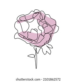 Vector illlustration of hand drawing rose