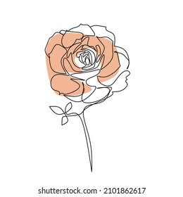 Vector illlustration of hand drawing rose