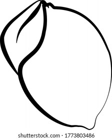 Vector Illlustration lemon icon line