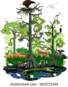 Vector Illstration - Wetland Or Florida Everglades Landscape With Different Wetland Animals 