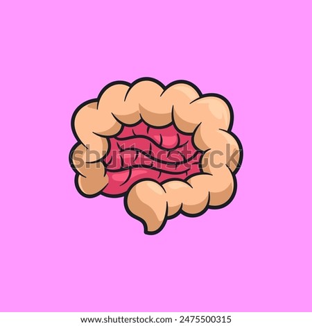 Vector illsutration of human organ intestines