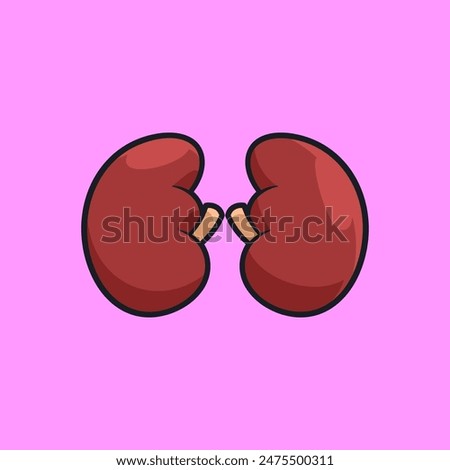 Vector illsutration of human organ Kidneys