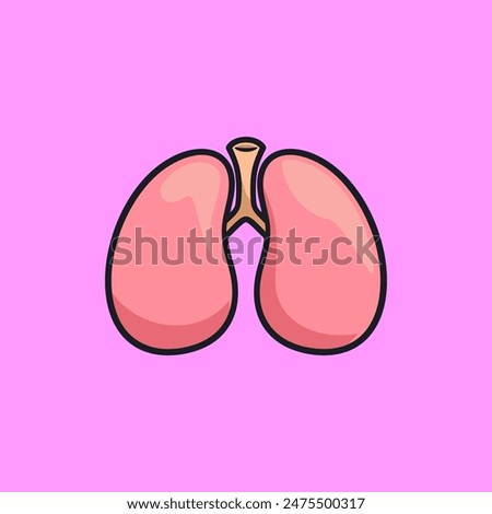 Vector illsutration of human organ lungs