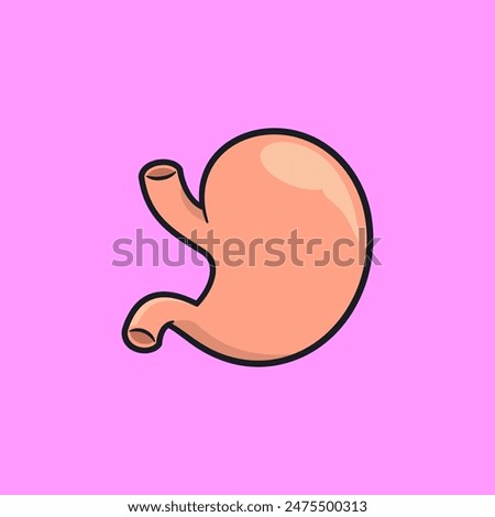 Vector illsutration of human organ stomach
