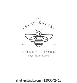 Vector illustartion logo and design template or badge. Organic and eco honey label- bee. Linear style