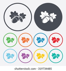 Vector illustartion of weather icon