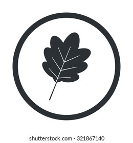 Vector illustartion of weather icon
