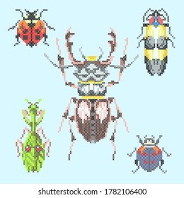 vector illustation cross stitch insect