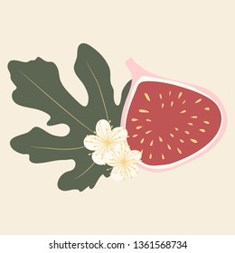 Vector illustation of fig, leaf and flowers in pastel colors