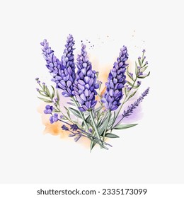 ilusión vectorial de aislamiento de lavanda de prueba de acuarela sobre fondo blanco