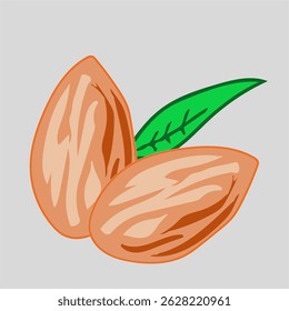 vector illustraion of almonds cartoon almond snack healthy snack meal 