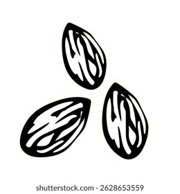 vector illustraion of almonds cartoon almond snack healthy snack meal