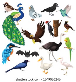 Vector illustraion of different kind of birds.