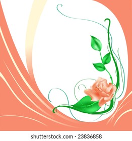 Vector illustraition of elegant beautiful rose