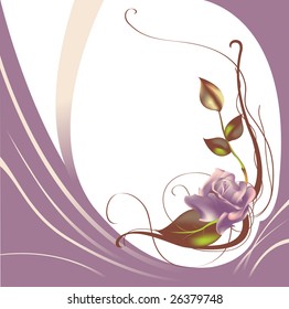 Vector illustraition of elegant beautiful rose