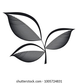Vector illustrarion icon black leaf