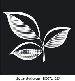 Vector illustrarion icon leaf