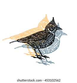 Vector Illustrated Crested Lark Bird Sign On White Background