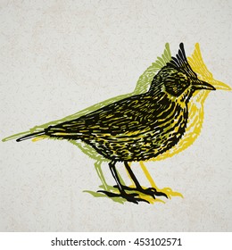 Vector Illustrated Crested Lark Bird On Old Paper