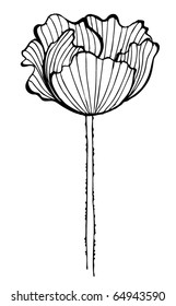 vector illustrated cute flower for your spring design
