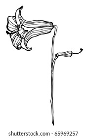 vector illustrated cute flower for your spring design