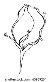 vector illustrated cute flower for your spring design