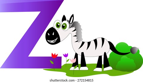 Vector illustrated cute zebra  with the letter z.