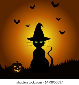Vector illustrated halloween design, black cat, pumpkin and bats