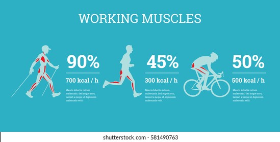 Vector illustrated infographics banners with sport information. The flat illustration of  comparative data of sport loads.