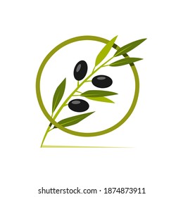 Símbolo vectorial ilustrado de la rama de olivo aislado en fondo blanco