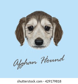Vector Illustrated Portrait of Afghan Hound puppy. Cute dark coat face of domestic dog on blue background.