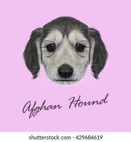 Vector Illustrated Portrait of Afghan Hound puppy. Cute dark coat face of domestic dog on pink background.