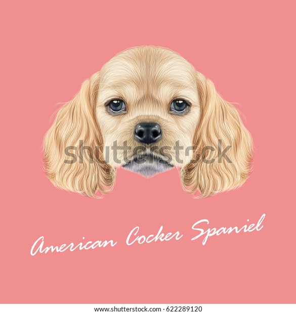 米国のコッカー スパニエルの子犬のベクターイラストポートレート ピンクの背景にかわいいふわふわの金色の国産犬の顔 のベクター画像素材 ロイヤリティフリー