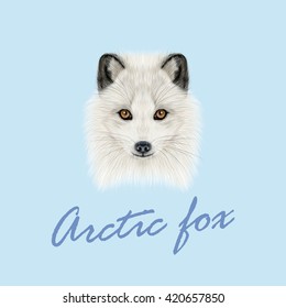 Vector Illustrated Portrait of Arctic fox. Cute white fluffy face of Polar Fox on blue background.