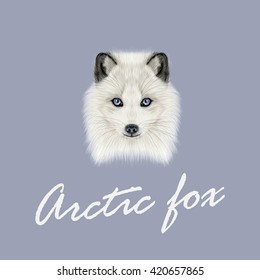 Vector Illustrated Portrait of Arctic fox. Cute white fluffy face of Polar Fox on dark blue background.
