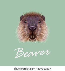 Vector Illustrated Portrait of Beaver. Cute face of aquatic fluffy rodent on green background.