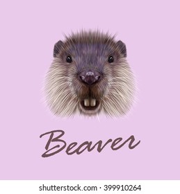 Vector Illustrated Portrait of Beaver. Cute face of aquatic fluffy rodent on pink background.