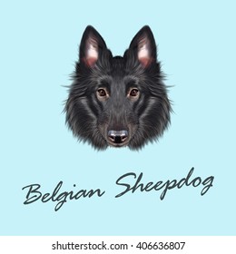 Vector Illustrated portrait of Belgian Shepherd. Cute face of black domestic dog on blue background.