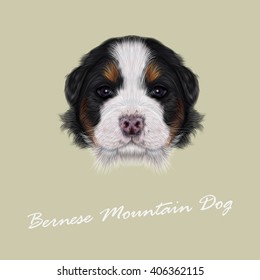 Vector Illustrated portrait of Bernese Mountain puppy. Cute fluffy face of tricolor domestic dog on beige background.