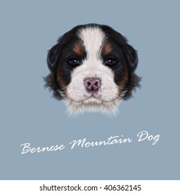 Vector Illustrated portrait of Bernese Mountain puppy. Cute fluffy face of tricolor domestic dog on blue background.