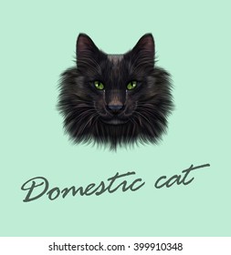 Vector Illustrated Portrait of Black Cat. Cute face of domestic cat with green eyes on green background.